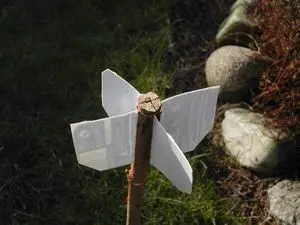 Flèche polynésienne