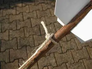 Flèche polynésienne