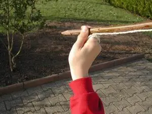 Flèche polynésienne