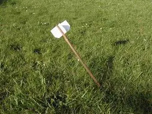 Flèche polynésienne