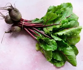 betteraves avec fanes