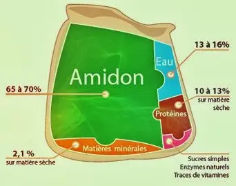 composition de la farine