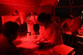 dégustation lumière rouge