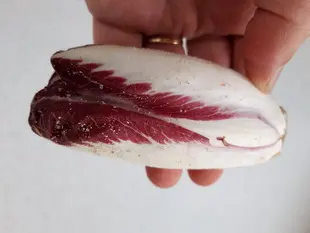 Le nettoyage des endives