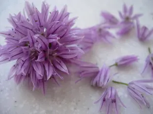 sommités de fleur de ciboulette