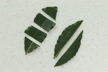 feuilles de laurier coupées