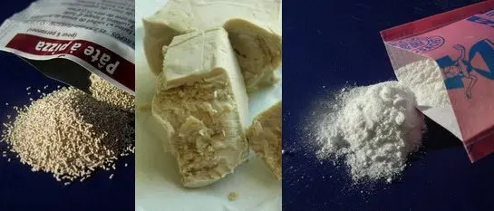 Levures et levain