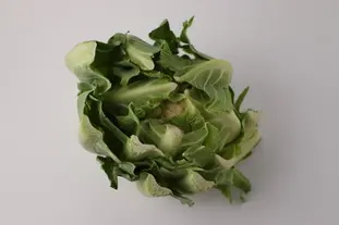 chou fleur brut