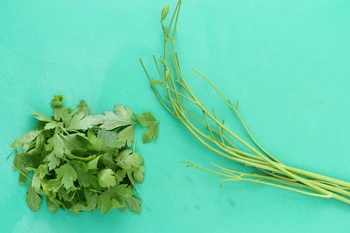 Les queues de persil