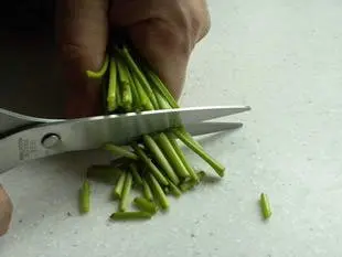 conservation herbes : coupe des tiges