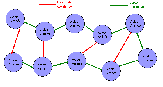 gastronomie moléculaire