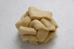 pate fermentée viennoise