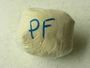 pate fermentée congelée