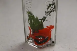 Huile pimentée : Étape 7