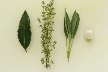 Lait de parmesan : Étape 2