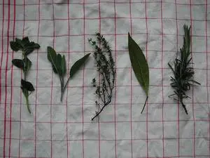 Huile d'olive aux herbes : Étape 4