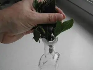 Huile d'olive aux herbes : Étape 6