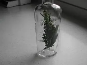 Huile d'olive aux herbes : Étape 7