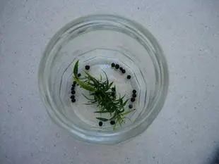 Cornichons au vinaigre : Étape 9