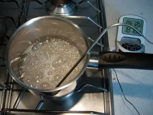 Pâte ou poudre de pistache : Étape 4