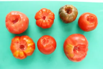 Sauce tomate (aux tomates fraiches) : Étape 1