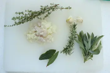 Sauce tomate de fin de saison : Étape 3