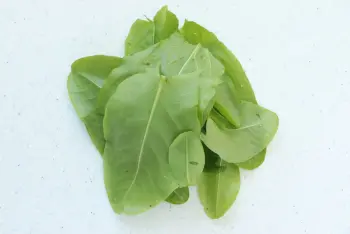 Mayonnaise à l'oseille : Étape 1