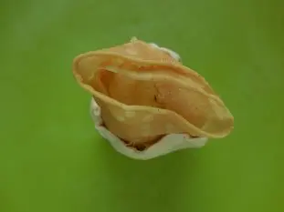 Douillons d'Yvetot : Étape 7