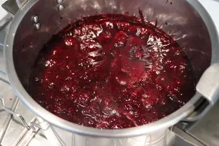 Gelée de cassis : Étape 4