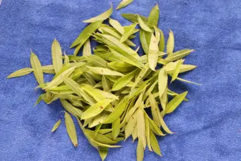 Flan à la verveine : Étape 2