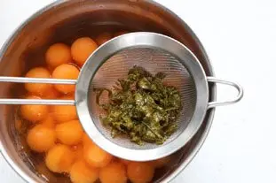 Melon-menthe : Étape 6