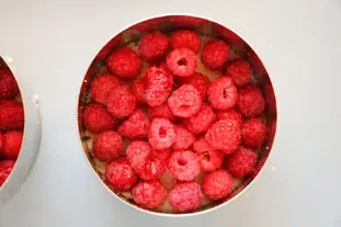 Framboisier : Étape 10