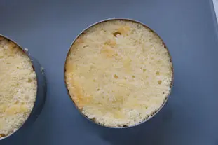 Framboisier : Étape 12