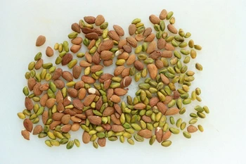 Nougat Glacé : Étape 4