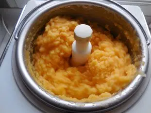 Sorbet clémentines : Étape 9