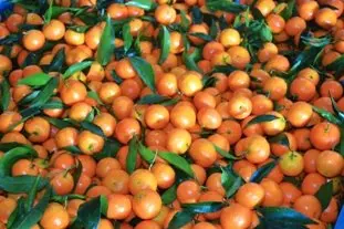 Sorbet clémentines : Étape 10