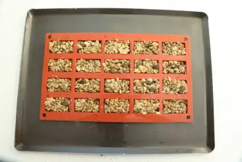 Petits gateaux de graines : Étape 3