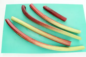 Tarte rhubarbe-noisettes : Étape 2