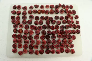 Tarte aux cerises : Étape 3