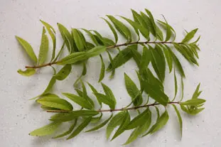 Feuilleté verveine et pêches : Étape 2