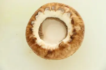 Champignons en escargots : Étape 3