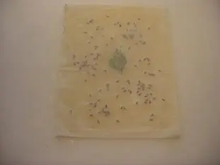 Pannequets au riz rouge : Étape 11