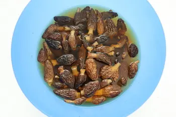 Gratin de pommes de terre aux morilles et vin jaune : Étape 1