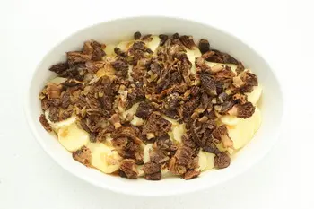 Gratin de pommes de terre aux morilles et vin jaune : Étape 17