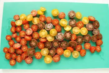 Haricots verts à la crème de feta et tomates cerises : Étape 1