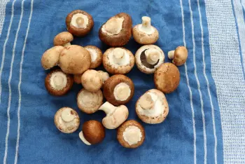 Œufs cassés aux champignons : Étape 3