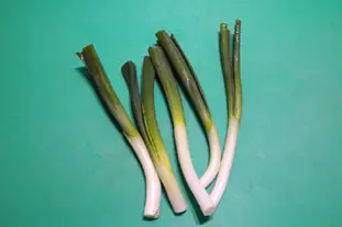 Tartines grillées à l'oignon nouveau : Étape 1