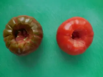 Bruschetta : Étape 1