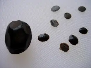 Tomates coccinelle : Étape 11