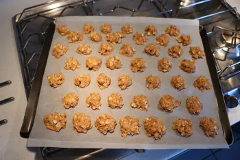 Petits biscuits pomme-avoine pour Sasha : Étape 5